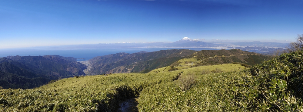達磨山山頂下からの富士山と駿河湾