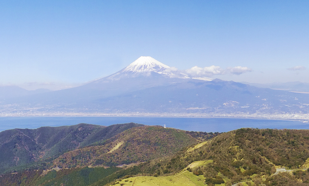 達磨山からの駿河湾と富士山