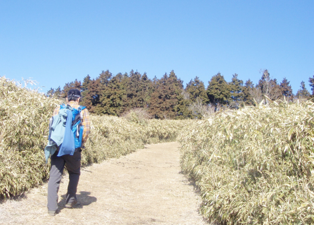 伽藍山へ進みます