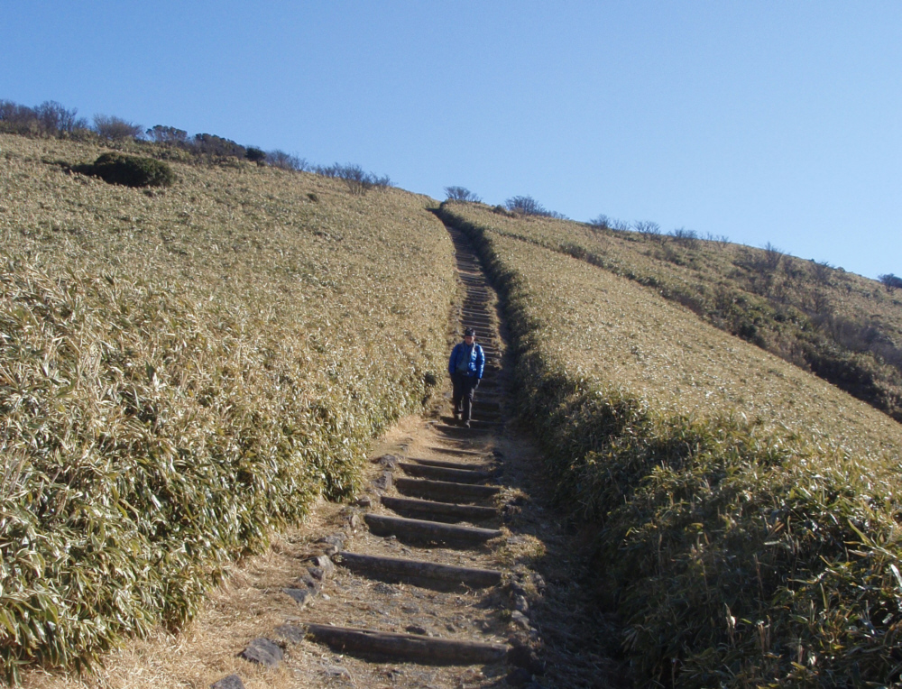 達磨山を下りてくる