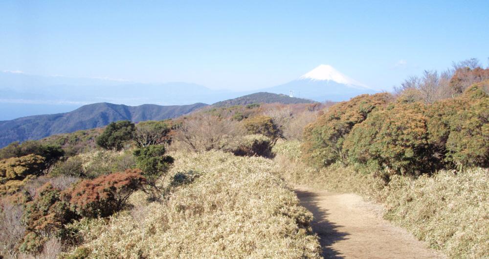 戸田峠に行くときに見えた富士山