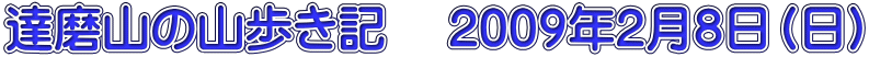 達磨山の山歩き記　 2009年2月8日（日）