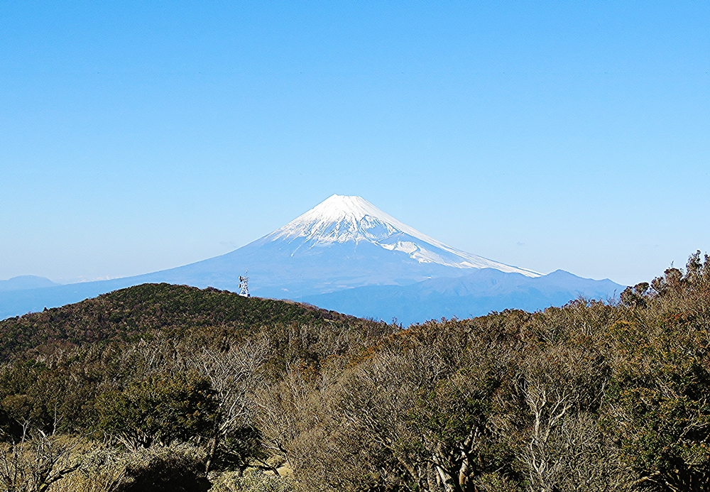 金冠山と愛鷹山と富士山