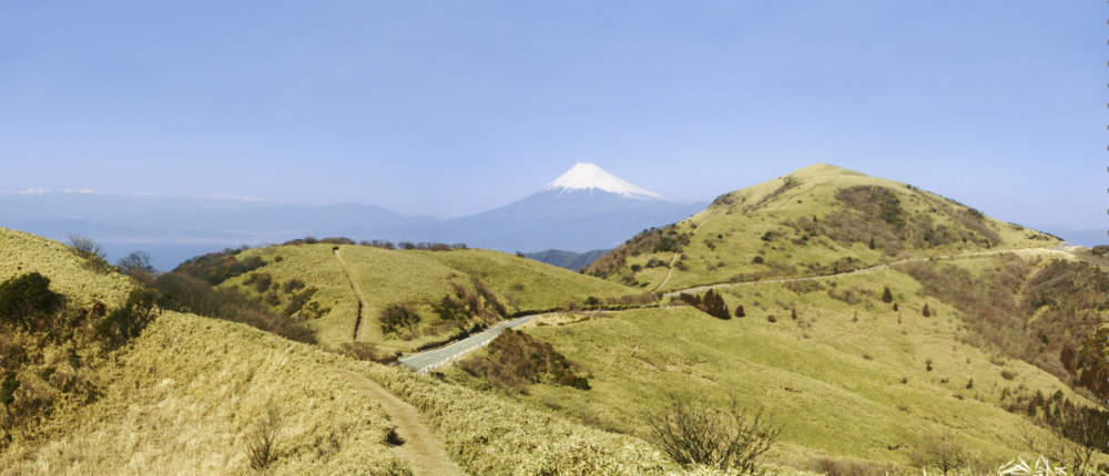 古稀山付近からの達磨山と駿河湾と富士山２