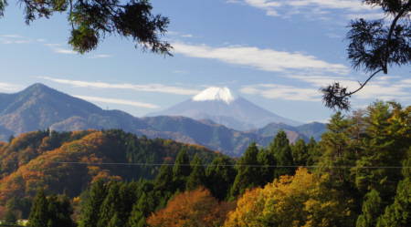 慈母観音横からの景色