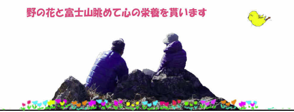 姥子山山頂から富士山を眺める熟年夫婦